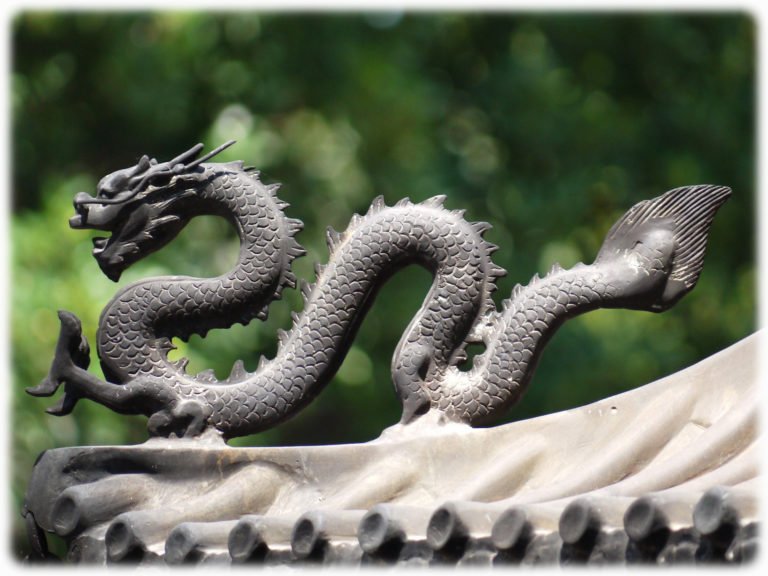 Drache