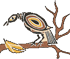Kraehe