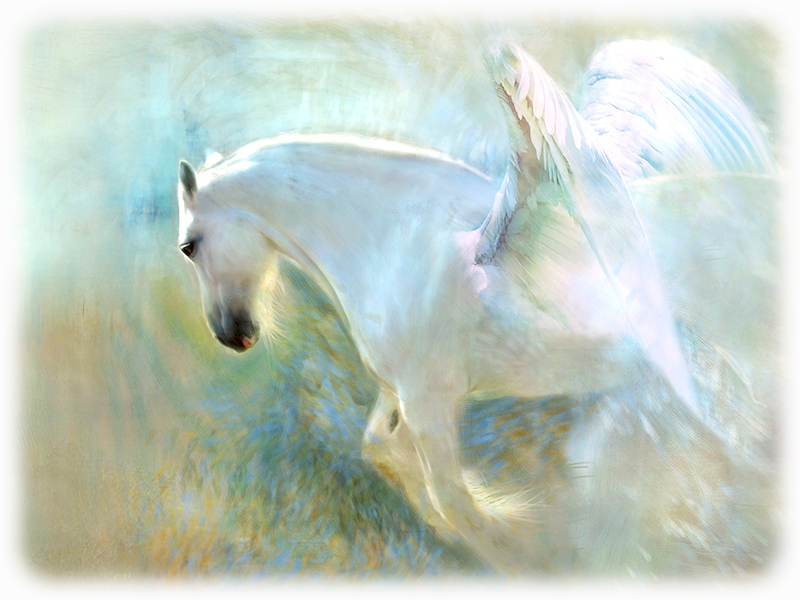 Krafttier Pegasus - Geflügeltes Pferd der Unsterblichkeit